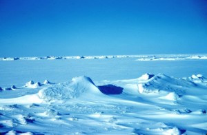 Science Policy Conference: ARCUS Arctic Forum Highlights Interagency Collaboration