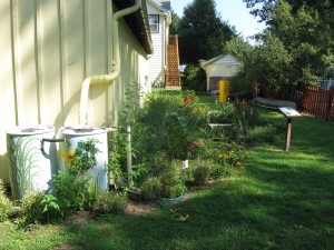 Rain barrels:  An example of a residential scale stormwater practice targeted by behavior change programs. Credit: Chesapeake Bay Trust